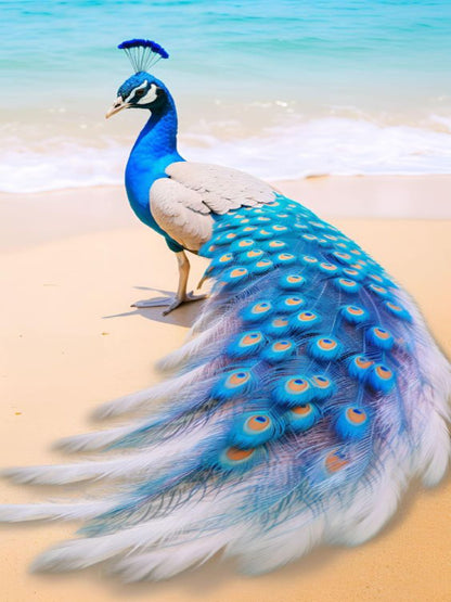 Bluecoast Peacock 40hx30w cm - Diamond Painting - DIY Hobby Art